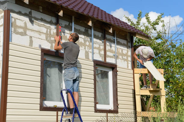 Best Custom Trim and Detailing for Siding  in Canton, IL